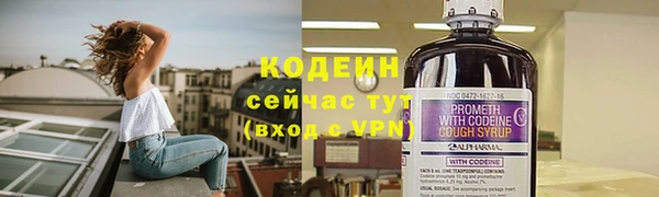 шишки Горнозаводск
