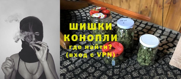 шишки Горнозаводск