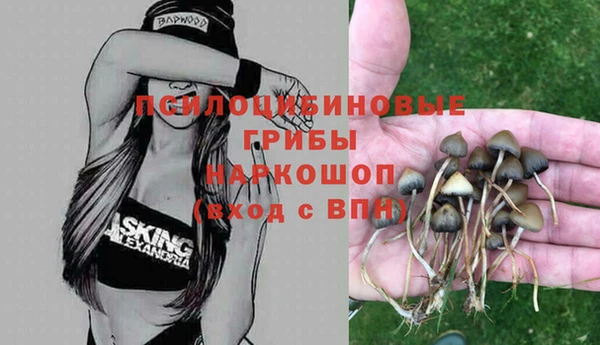 каннабис Горно-Алтайск