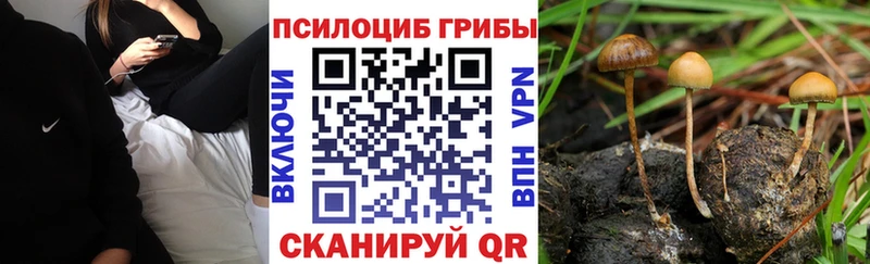 Псилоцибиновые грибы ЛСД  хочу   Мезень 